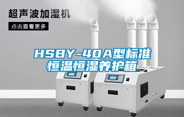 HSBY-40A型標準恒溫恒濕養護箱