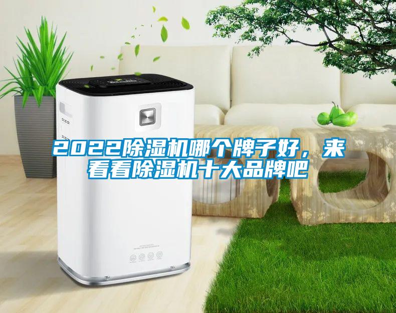 2022除濕機哪個牌子好，來看看除濕機十大品牌吧