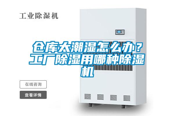 倉庫太潮濕怎么辦？工廠除濕用哪種除濕機