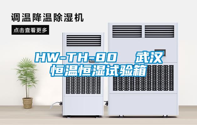 HW-TH-80  武漢恒溫恒濕試驗(yàn)箱