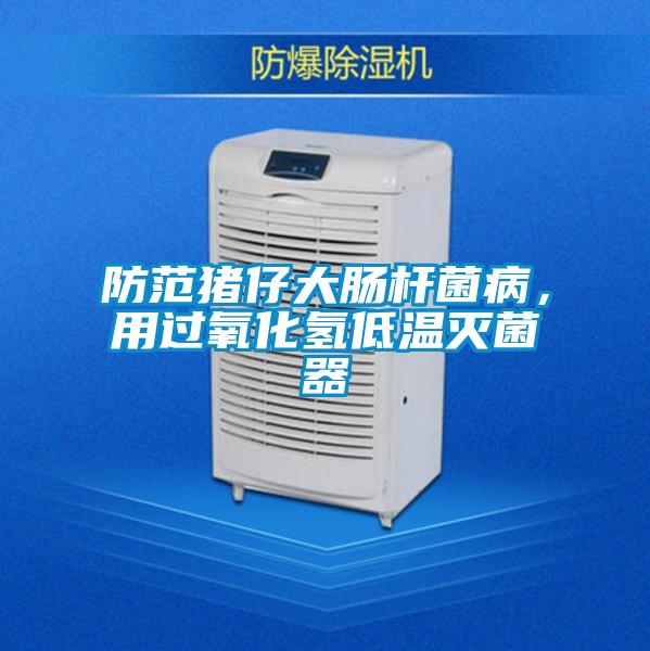 防范豬仔大腸桿菌病，用過氧化氫低溫滅菌器