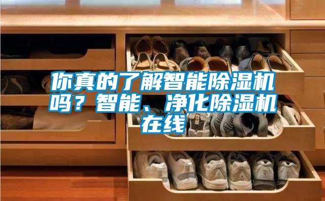 你真的了解智能除濕機嗎?智能、凈化除濕機在線