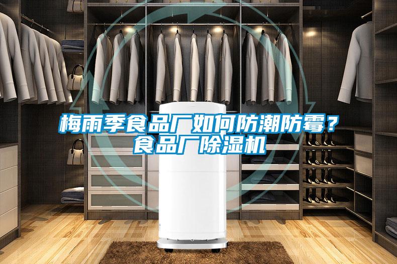 梅雨季食品廠如何防潮防霉?食品廠除濕機