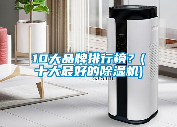 10大品牌排行榜？(十大最好的除濕機)