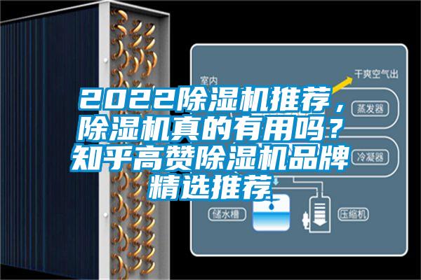 2022除濕機推薦，除濕機真的有用嗎？知乎高贊除濕機品牌精選推薦
