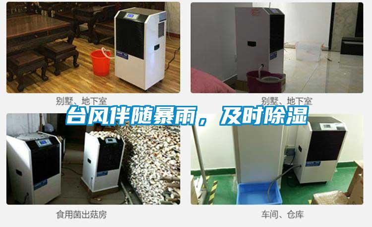 臺風(fēng)伴隨暴雨,及時除濕