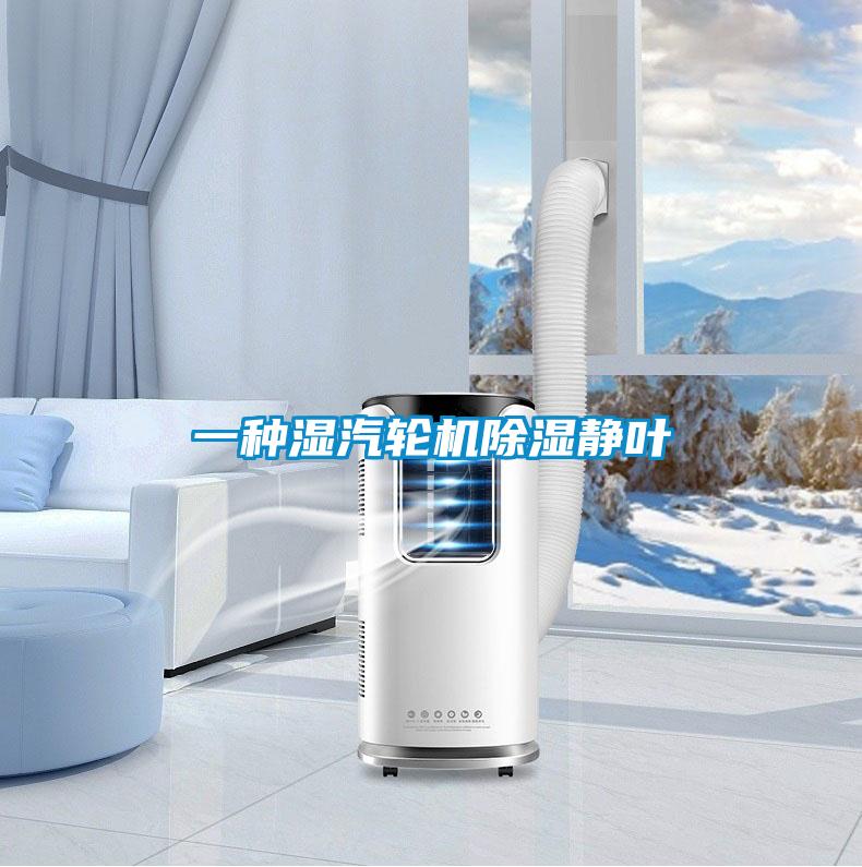 一種濕汽輪機除濕靜葉