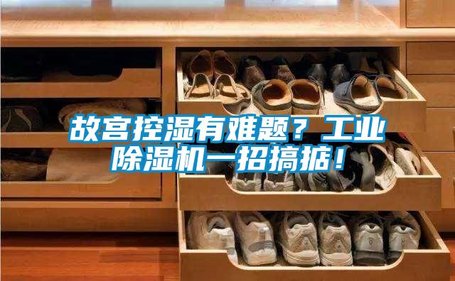 故宮控濕有難題?工業除濕機一招搞掂!