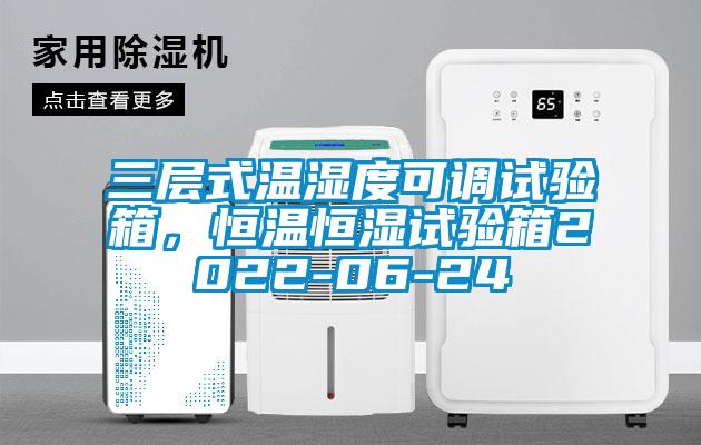 三層式溫濕度可調試驗箱,恒溫恒濕試驗箱2022-06-24