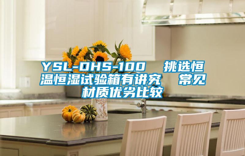 YSL-DHS-100  挑選恒溫恒濕試驗箱有講究  常見材質優劣比較