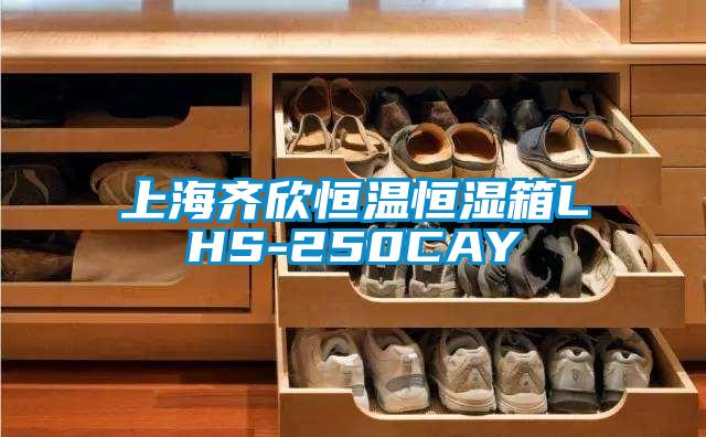 上海齊欣恒溫恒濕箱LHS-250CAY