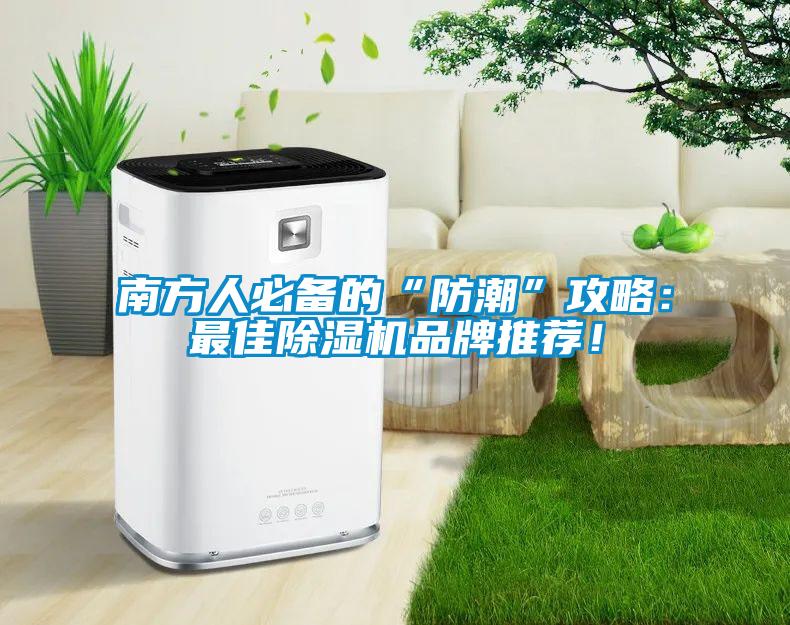 南方人必備的“防潮”攻略:最佳除濕機品牌推薦!