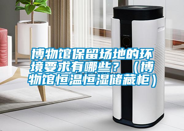 博物館保留場地的環境要求有哪些?(博物館恒溫恒濕儲藏柜)