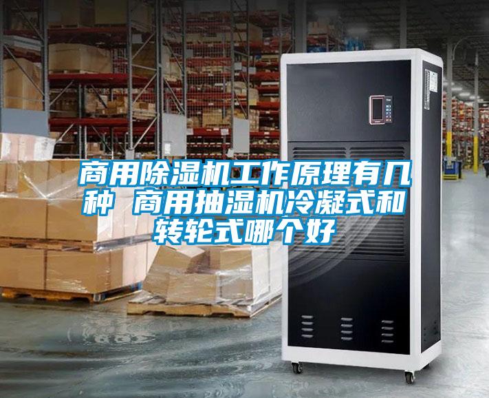 商用除濕機工作原理有幾種 商用抽濕機冷凝式和轉(zhuǎn)輪式哪個好