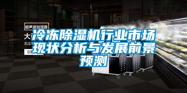 冷凍除濕機(jī)行業(yè)市場現(xiàn)狀分析與發(fā)展前景預(yù)測