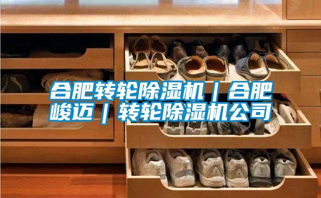 合肥轉輪除濕機｜合肥峻邁｜轉輪除濕機公司