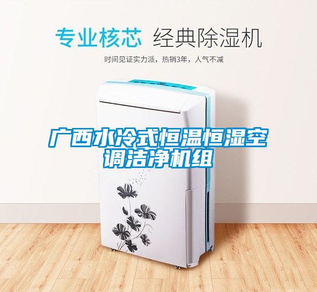 廣西水冷式恒溫恒濕空調(diào)潔凈機(jī)組