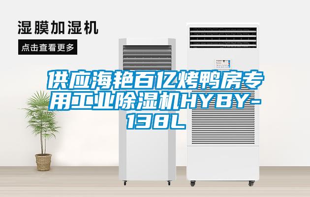 供應(yīng)海艷百億烤鴨房專用工業(yè)除濕機(jī)HYBY-138L