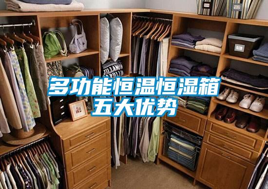 多功能恒溫恒濕箱五大優(yōu)勢(shì)