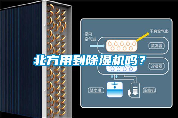 北方用到除濕機嗎?