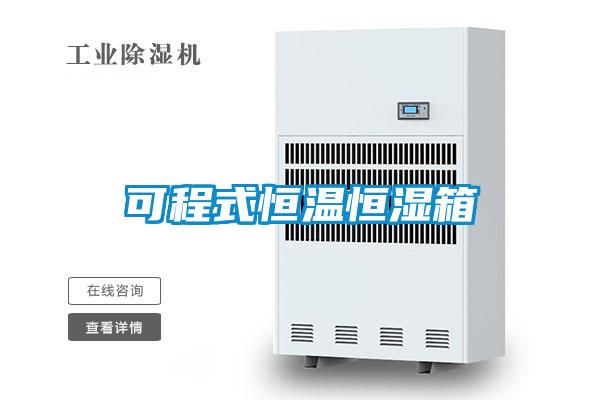 可程式恒溫恒濕箱