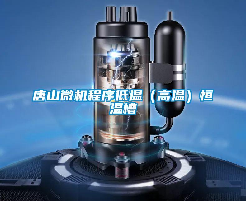 唐山微機程序低溫(高溫)恒溫槽