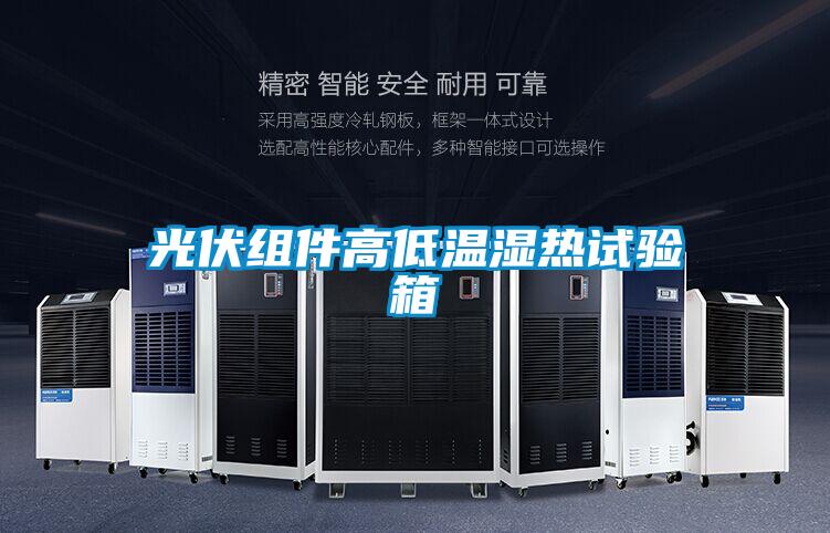 光伏組件高低溫濕熱試驗箱