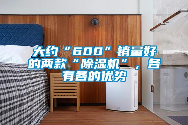 大約“600”銷量好的兩款“除濕機”,各有各的優勢