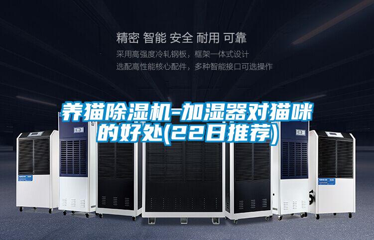 養貓除濕機-加濕器對貓咪的好處(22日推薦)