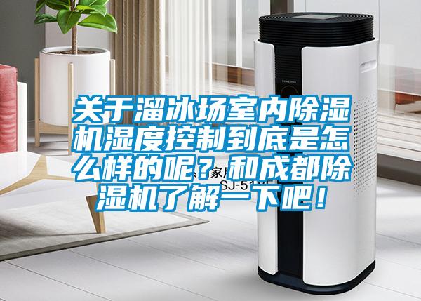 關于溜冰場室內除濕機濕度控制到底是怎么樣的呢？和成都除濕機了解一下吧！