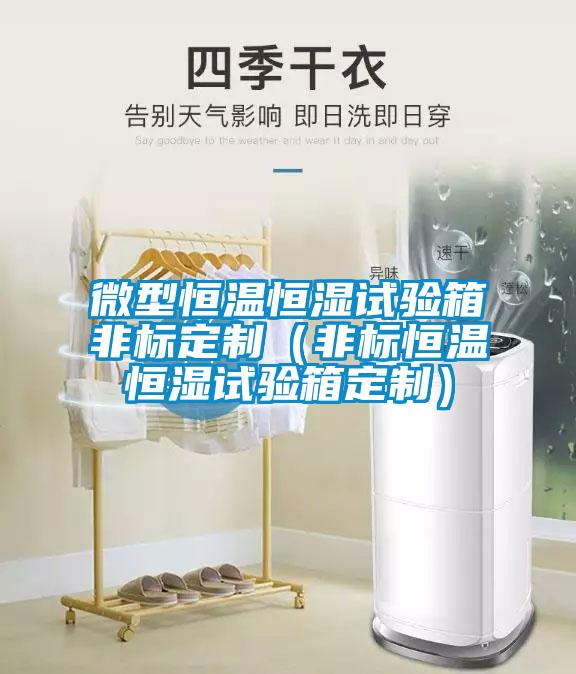 微型恒溫恒濕試驗箱非標定制(非標恒溫恒濕試驗箱定制)