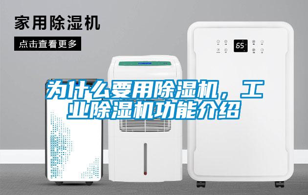 為什么要用除濕機,工業(yè)除濕機功能介紹