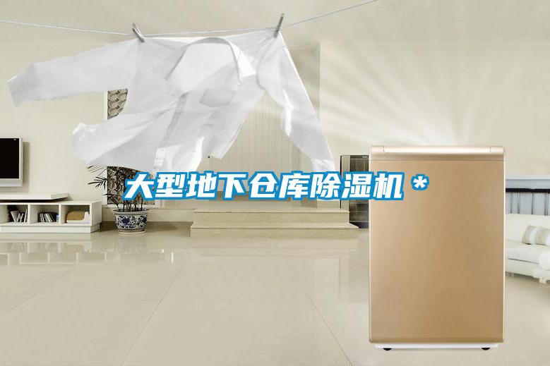 大型地下倉庫除濕機*