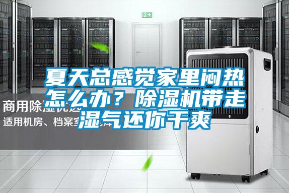 夏天總感覺家里悶熱怎么辦?除濕機(jī)帶走濕氣還你干爽