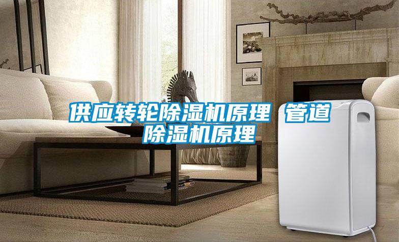 供應(yīng)轉(zhuǎn)輪除濕機(jī)原理 管道除濕機(jī)原理