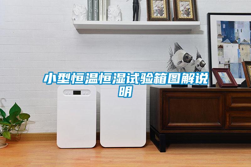 小型恒溫恒濕試驗箱圖解說明