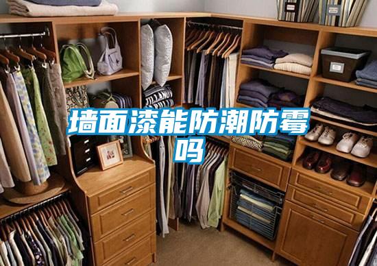 墻面漆能防潮防霉嗎