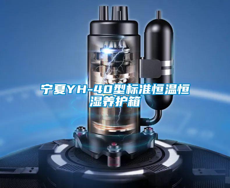 寧夏YH-40型標準恒溫恒濕養護箱