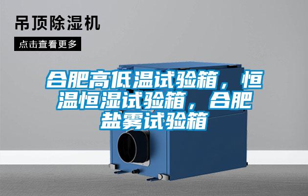 合肥高低溫試驗箱，恒溫恒濕試驗箱，合肥鹽霧試驗箱