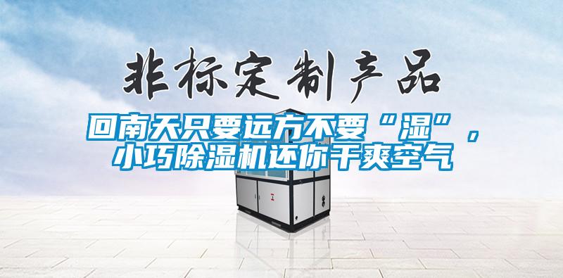 回南天只要遠方不要“濕”,小巧除濕機還你干爽空氣