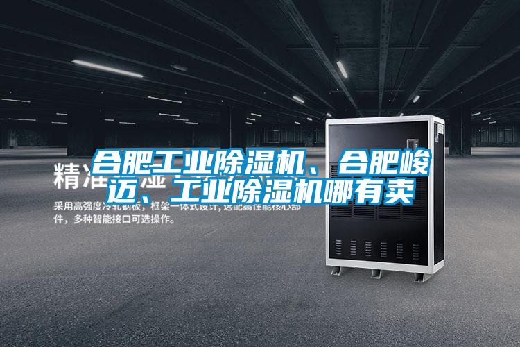 合肥工業除濕機、合肥峻邁、工業除濕機哪有賣