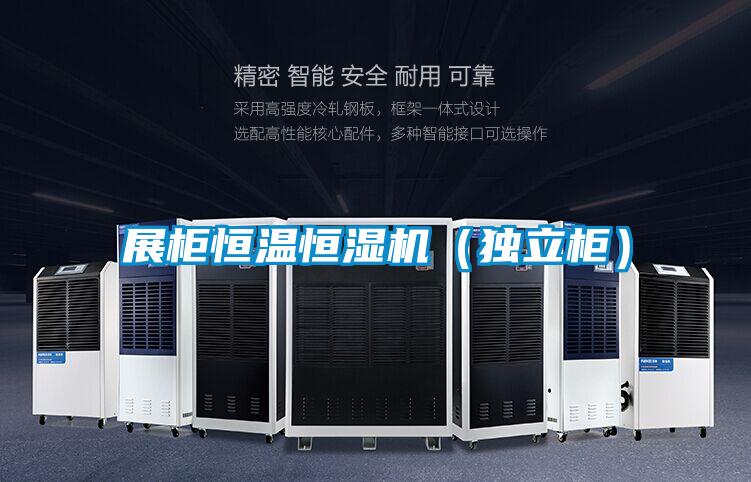 展柜恒溫恒濕機（獨立柜）