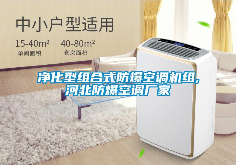 凈化型組合式防爆空調(diào)機(jī)組,河北防爆空調(diào)廠家