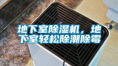 地下室除濕機,地下室輕松除潮除霉