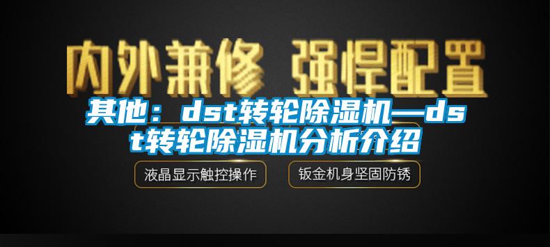 其他:dst轉輪除濕機—dst轉輪除濕機分析介紹