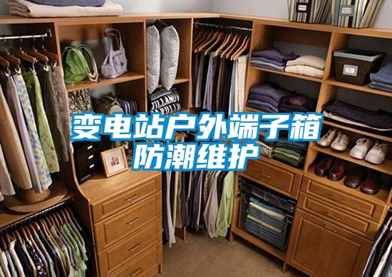 變電站戶外端子箱防潮維護