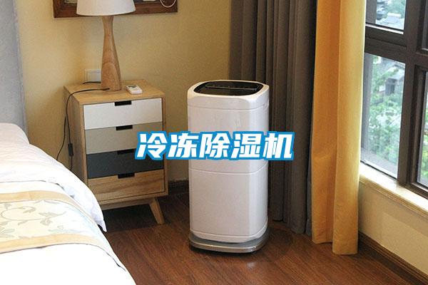 冷凍除濕機(jī)