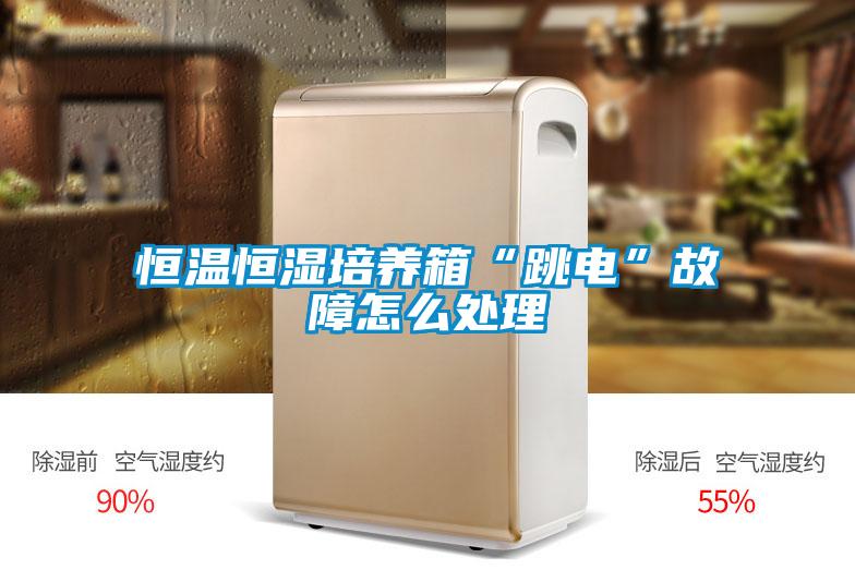 恒溫恒濕培養(yǎng)箱“跳電”故障怎么處理