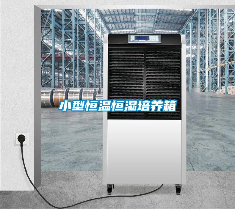 小型恒溫恒濕培養箱