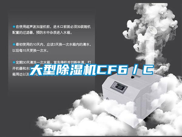大型除濕機CF6/C